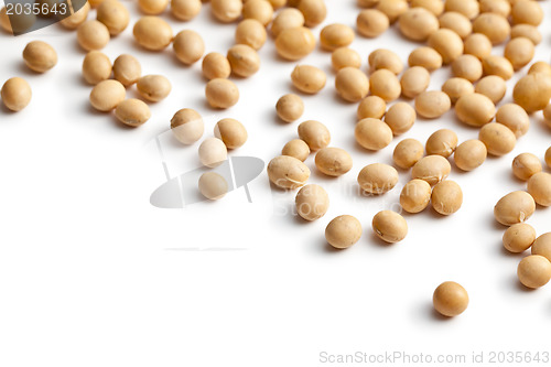 Image of soy beans on white background