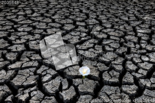 Image of Dried up River Bed