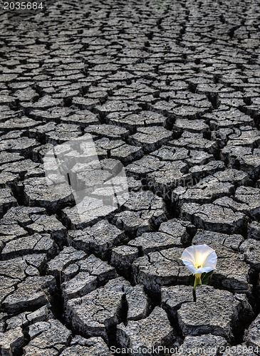 Image of Dried up River Bed