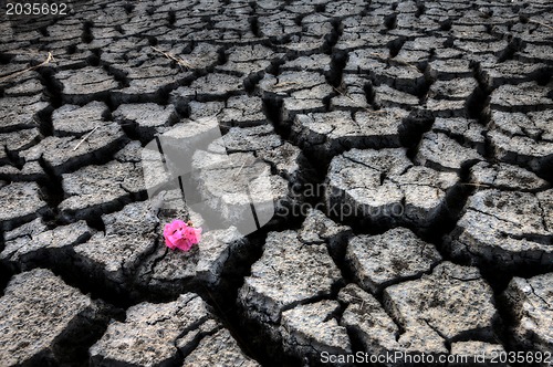 Image of Dried up River Bed