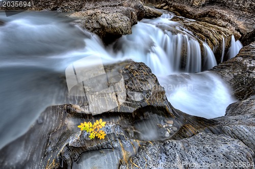 Image of Natural Bridge