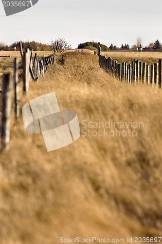 Image of Farm Trail and Fence