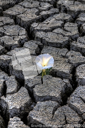 Image of Dried up River Bed