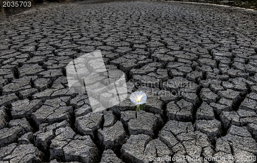 Image of Dried up River Bed