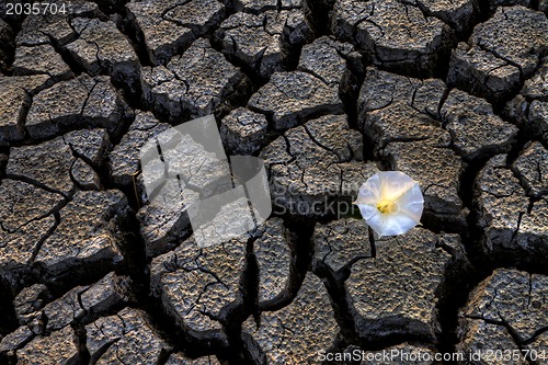 Image of Dried up River Bed