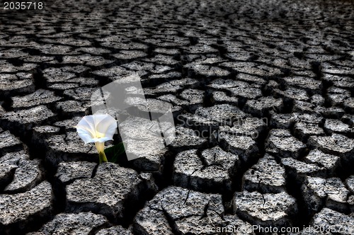 Image of Dried up River Bed