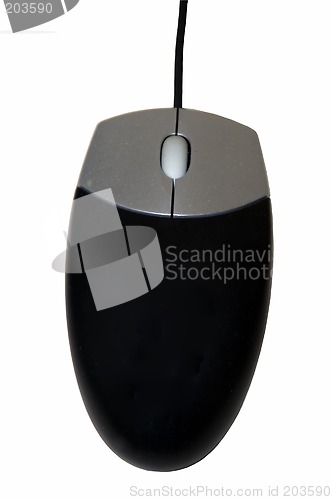 Image of Computer Mouse