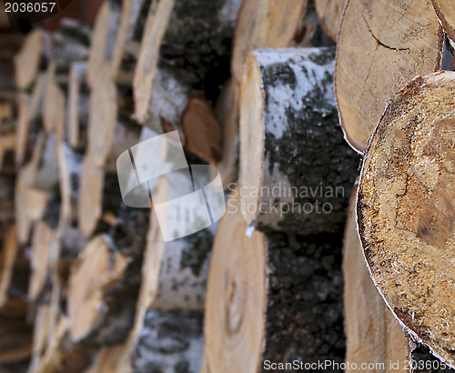 Image of Stacked Round Logs 