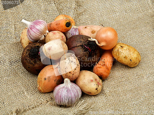 Image of Heap of Vegetables
