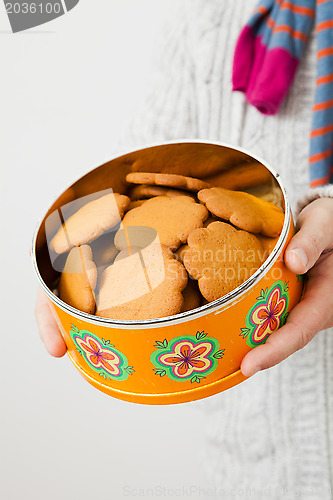 Image of Tin of gingerbread biscuits