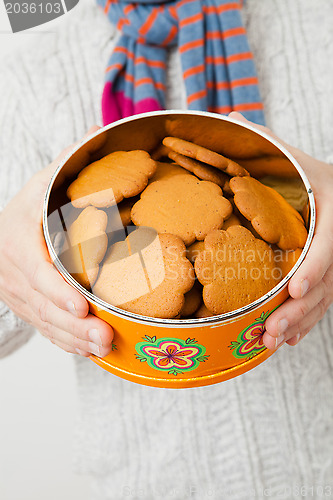 Image of Tin of gingerbread biscuits