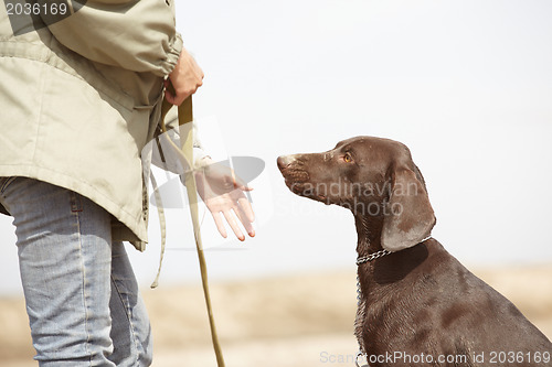 Image of Dog and trainer