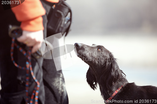 Image of Dog and trainer