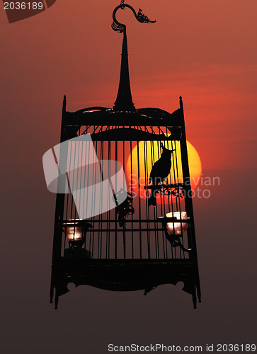 Image of Singing bird in cage, against the setting sun