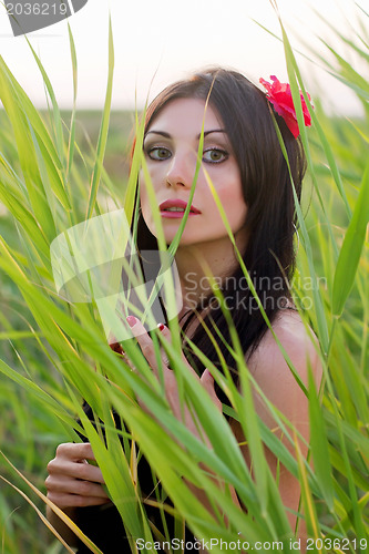 Image of Portrait of charming young woman