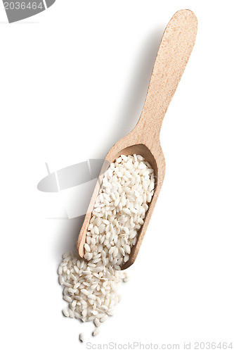 Image of the uncooked arborio rice