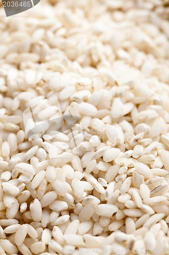 Image of arborio rice