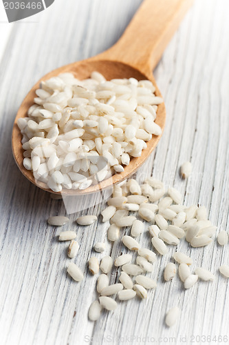 Image of arborio rice in spoon