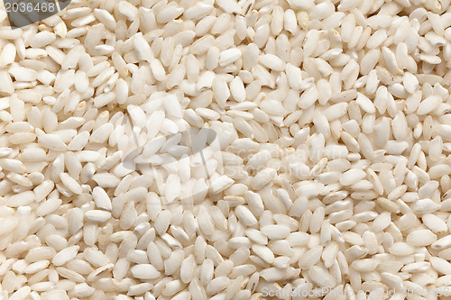 Image of arborio rice