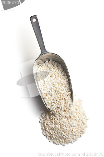 Image of the uncooked arborio rice