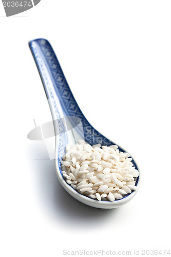 Image of the uncooked arborio rice