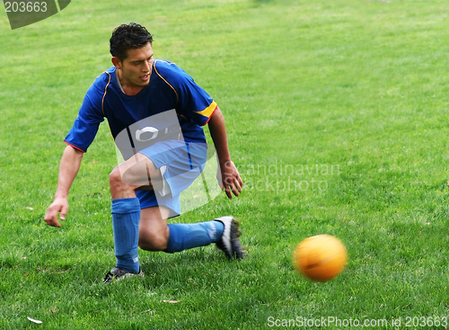 Image of Soccer player