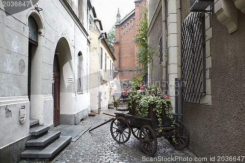 Image of Riga, Latvia. Carriage with flowers.