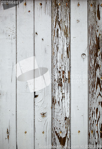 Image of Gray wooden wall. Macro shot.