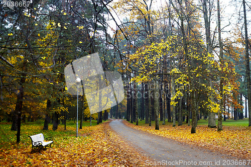 Image of Autumn road.