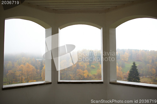 Image of Autumn forest and fog.