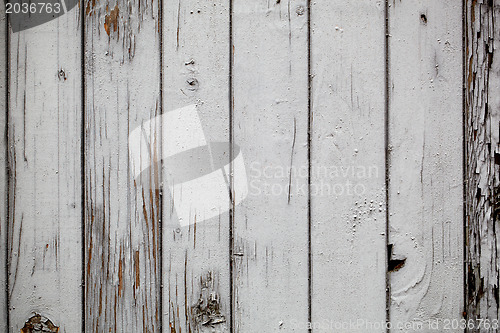 Image of Grey wooden wall. Macro shot.