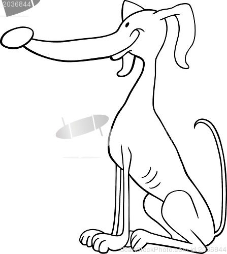 Image of greyhound dog cartoon for coloring book