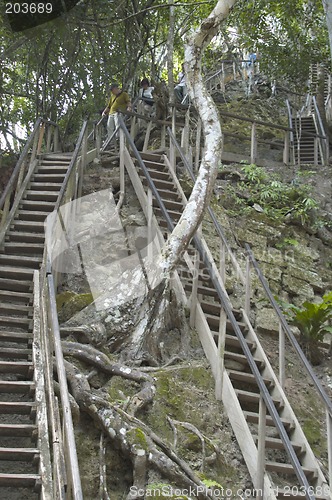 Image of stairway to mayan temple tikal