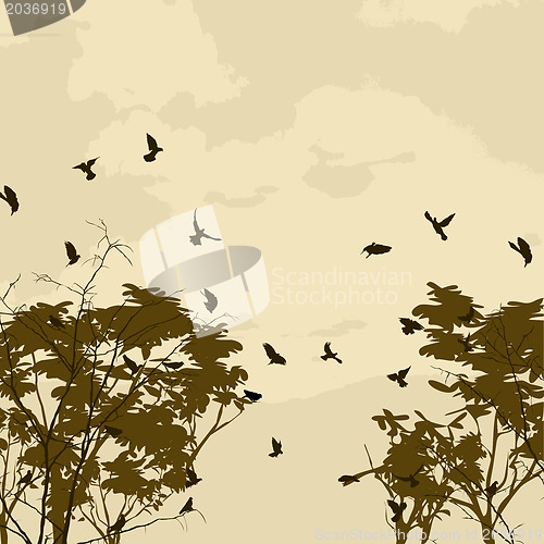 Image of Abstract nature background