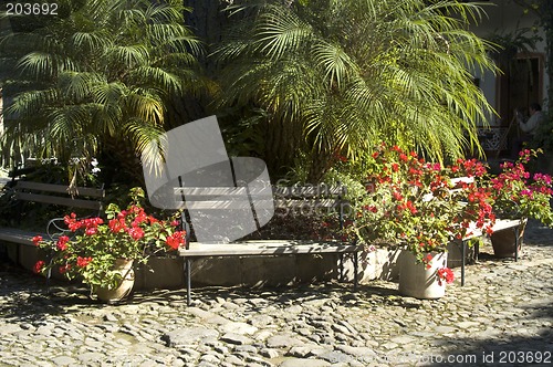 Image of courtyard in sunshine