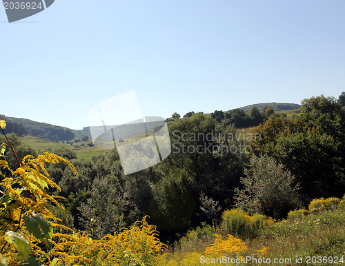 Image of Summer background landscape