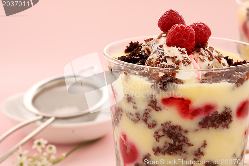 Image of Chocolate Raspberry Trifle