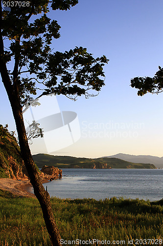 Image of Morning seacoast