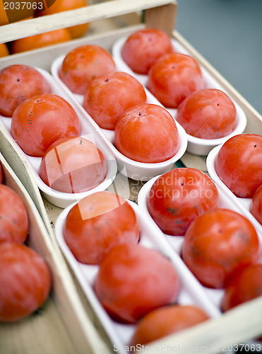 Image of Persimmon