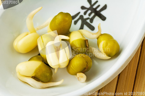 Image of soybean sprouts