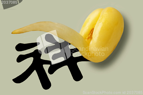 Image of soybean sprout