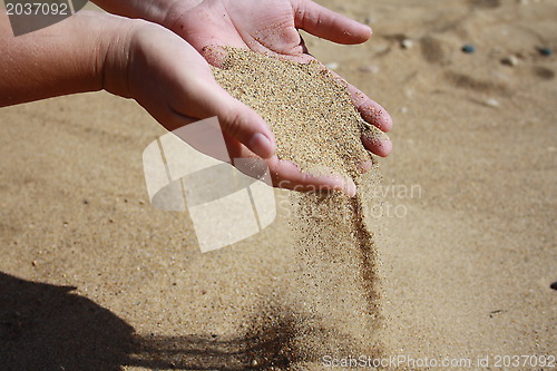 Image of Sand flows down from palms