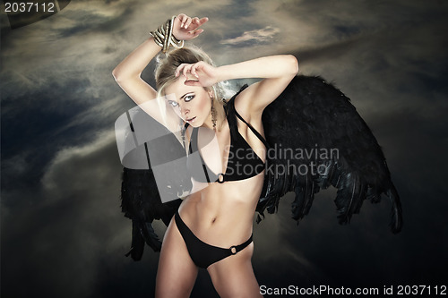 Image of Fallen angel