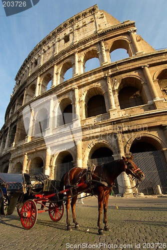 Image of colosseum and horse