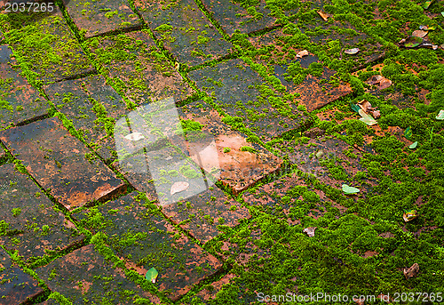 Image of Wall texture background 