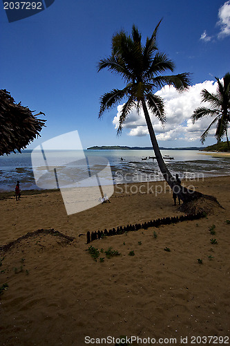 Image of  boat palm lagoon and coastline