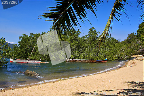 Image of nosy be  rock stone branch boat palm lagoon and coastline