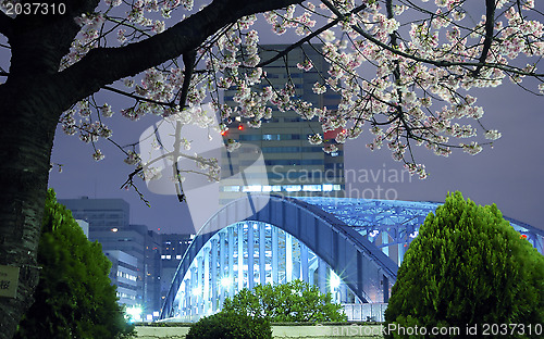 Image of Tokyo spring