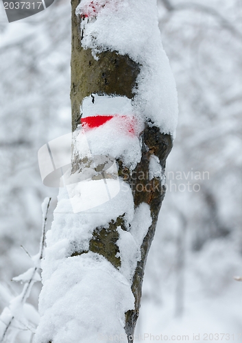 Image of Winter Sign