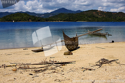 Image of  madagascar nosy be boat palm  rock stone branch  lagoon and coa
